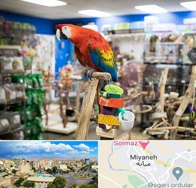 فروشگاه لوازم پرندگان در میانه