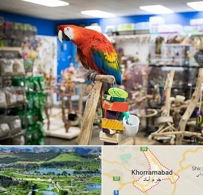 فروشگاه لوازم پرندگان در خرم آباد