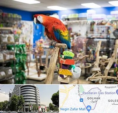 فروشگاه لوازم پرندگان در قلهک