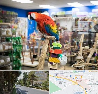 فروشگاه لوازم پرندگان در مهرویلا کرج