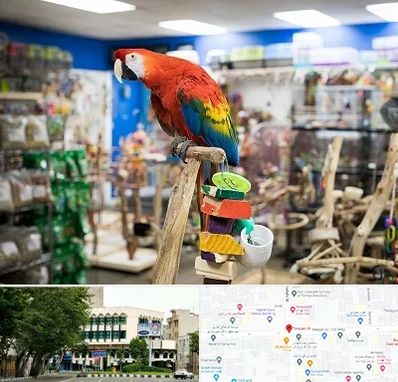 فروشگاه لوازم پرندگان در طالقانی