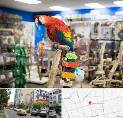 فروشگاه لوازم پرندگان در هفده شهریور تبریز