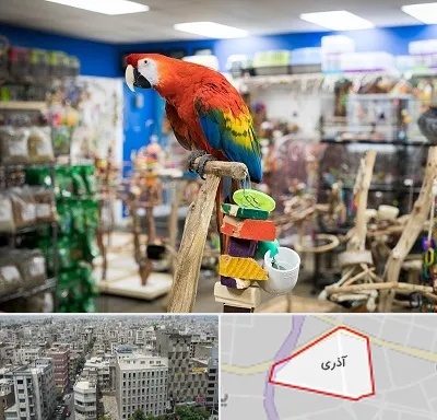 فروشگاه لوازم پرندگان در آذری