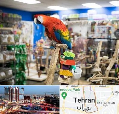 فروشگاه لوازم پرندگان در صادقیه 