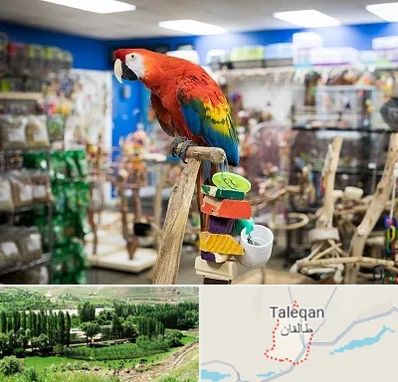 فروشگاه لوازم پرندگان در طالقان