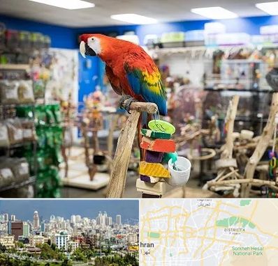 فروشگاه لوازم پرندگان در شرق تهران 