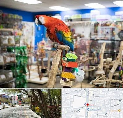 فروشگاه لوازم پرندگان در خیابان توحید اصفهان