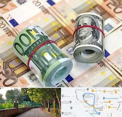 صرافی در فلکه گاز رشت