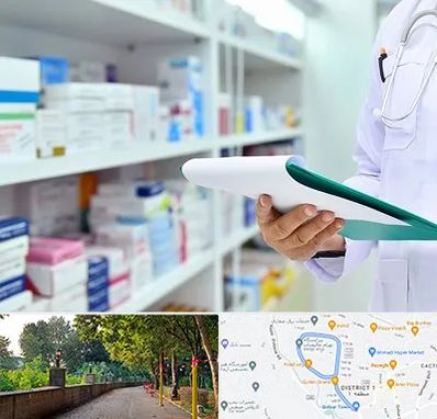 داروخانه در بلوار گیلان رشت