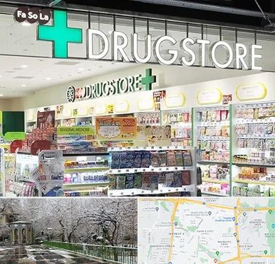 دراگ استور در باغ فیض