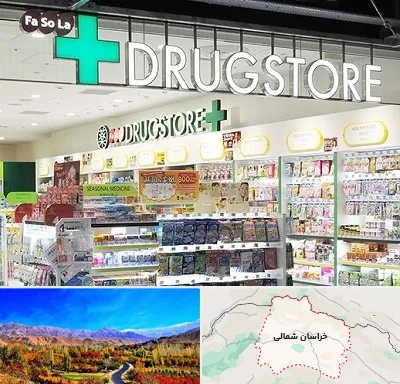دراگ استور در خراسان شمالی