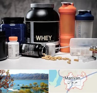 فروشگاه مکمل بدنسازی در مریوان