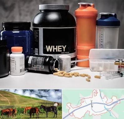 فروشگاه مکمل بدنسازی در تالش