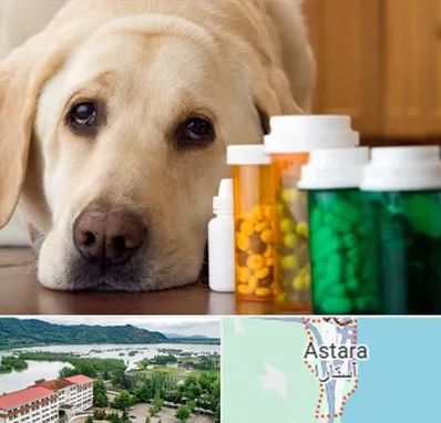 داروخانه دامپزشکی در آستارا