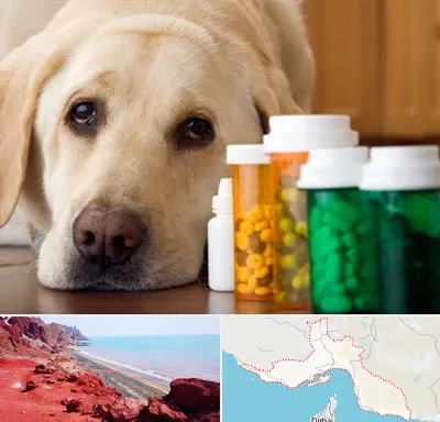 داروخانه دامپزشکی در هرمزگان