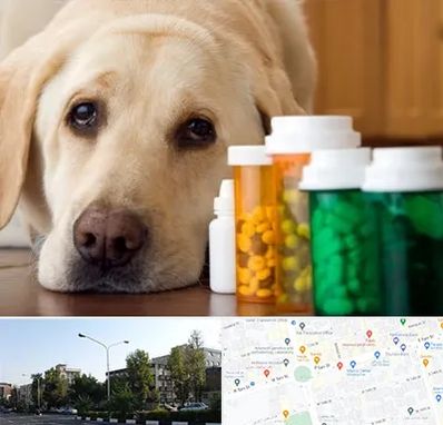 داروخانه دامپزشکی در میدان کاج