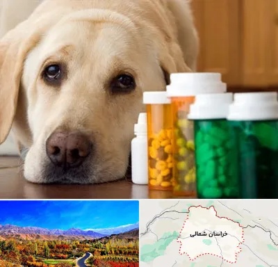 داروخانه دامپزشکی در خراسان شمالی