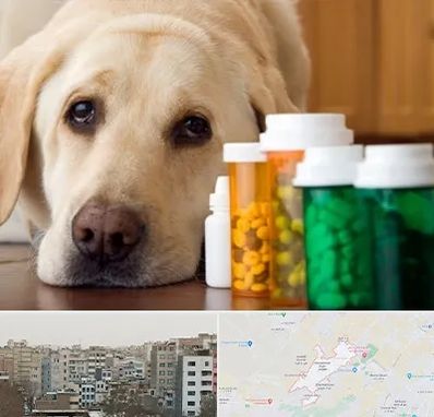 داروخانه دامپزشکی در محمد شهر کرج