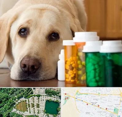 داروخانه دامپزشکی در وکیل آباد مشهد