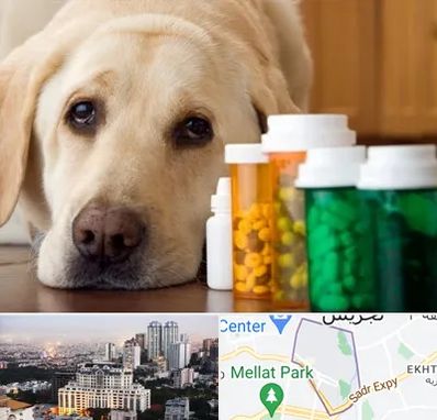 داروخانه دامپزشکی در الهیه 