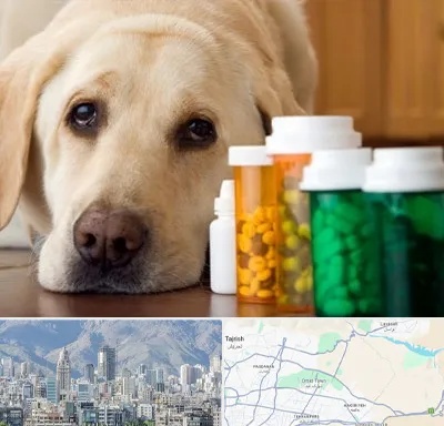 داروخانه دامپزشکی در شمال شرق تهران