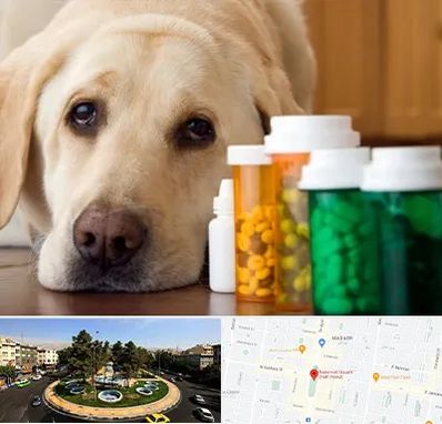 داروخانه دامپزشکی در هفت حوض