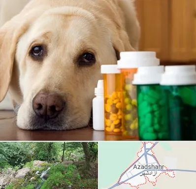 داروخانه دامپزشکی در آزادشهر