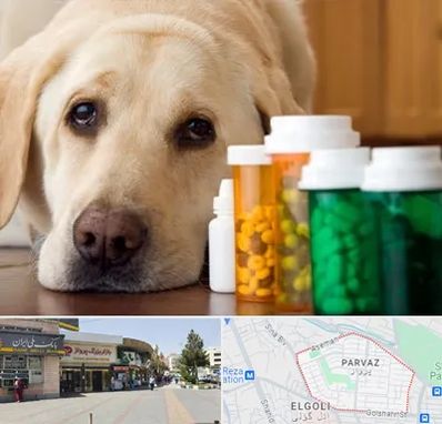 داروخانه دامپزشکی در پرواز تبریز