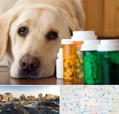 داروخانه دامپزشکی در منطقه 7 تهران