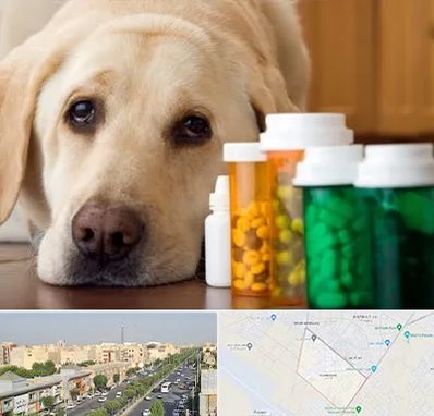 داروخانه دامپزشکی در کیانمهر کرج