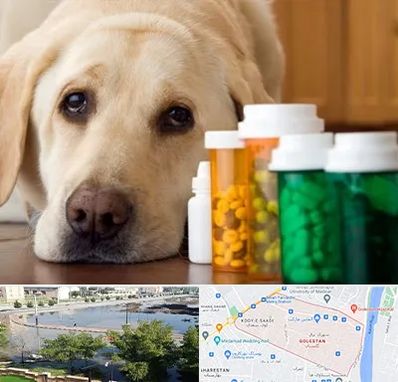 داروخانه دامپزشکی در گلستان اهواز