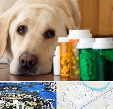 داروخانه دامپزشکی در کوروش اهواز