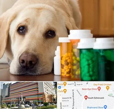 داروخانه دامپزشکی در سهروردی