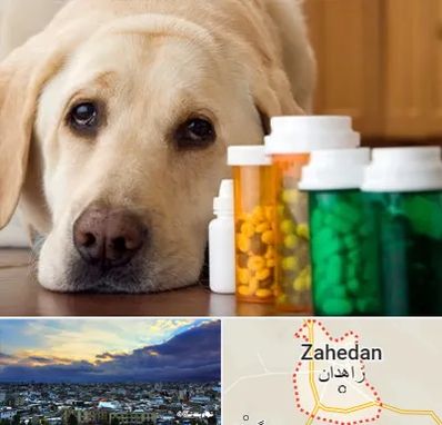 داروخانه دامپزشکی در زاهدان