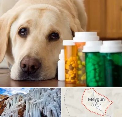 داروخانه دامپزشکی در میگون