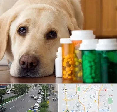 داروخانه دامپزشکی در ستارخان 