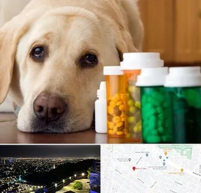داروخانه دامپزشکی در هفت تیر مشهد