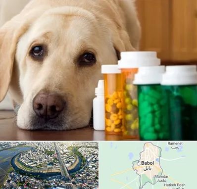 داروخانه دامپزشکی در بابل