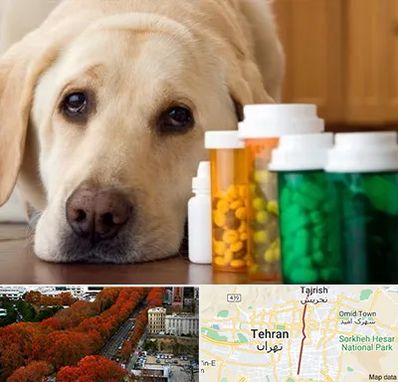 داروخانه دامپزشکی در ولیعصر