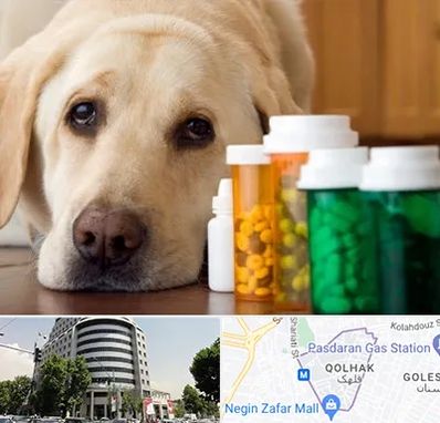 داروخانه دامپزشکی در قلهک