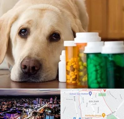 داروخانه دامپزشکی در گلسار رشت