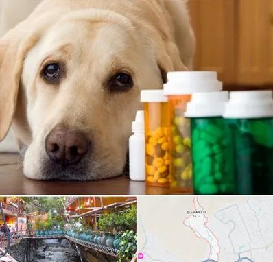 داروخانه دامپزشکی در درکه