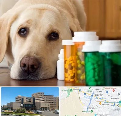 داروخانه دامپزشکی در صیاد شیرازی مشهد