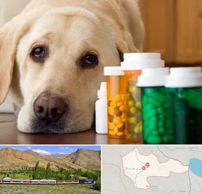 داروخانه دامپزشکی در خاش