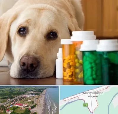 داروخانه دامپزشکی در محمودآباد
