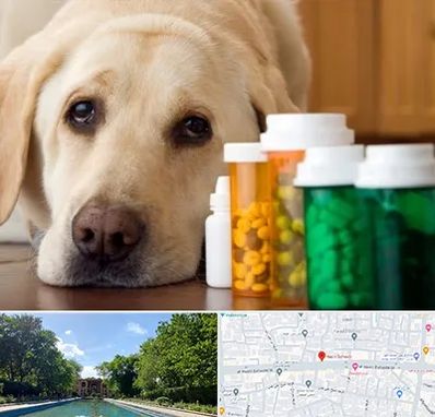 داروخانه دامپزشکی در هشت بهشت اصفهان