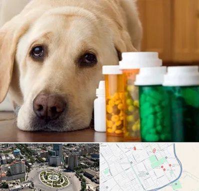 داروخانه دامپزشکی در زرافشان اسلامشهر