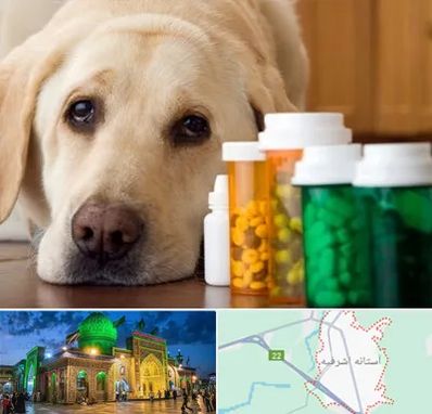 داروخانه دامپزشکی در آستانه اشرفیه