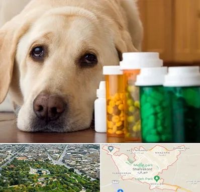 داروخانه دامپزشکی در شهرکرد