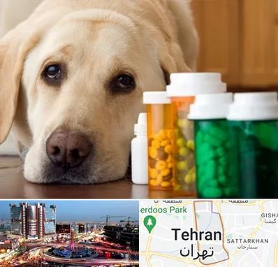 داروخانه دامپزشکی در صادقیه 